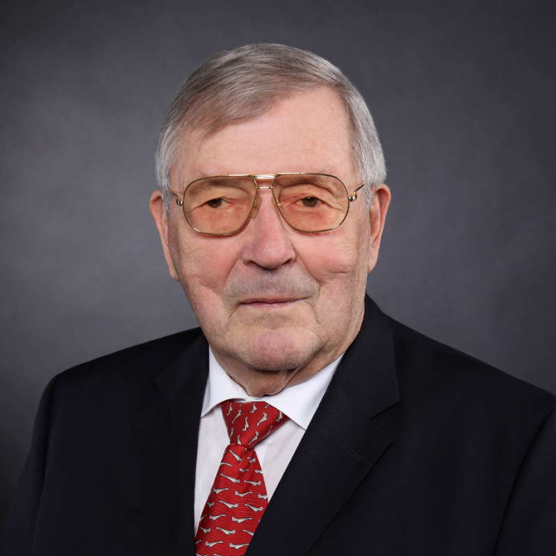 Prof. Dr. Carl Kramer - WSP GmbH